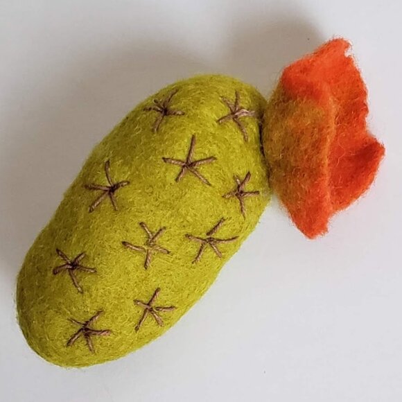 Wool Needle Felt CACTUS FLOWER Succulent Brooch Colorful Happy Fun - Picture 2 of 10